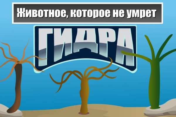 Магазин наркоты