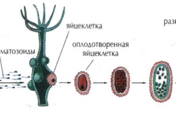 Кракен настоящий сайт