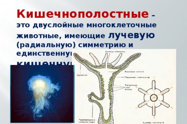 Кракен продает наркотики